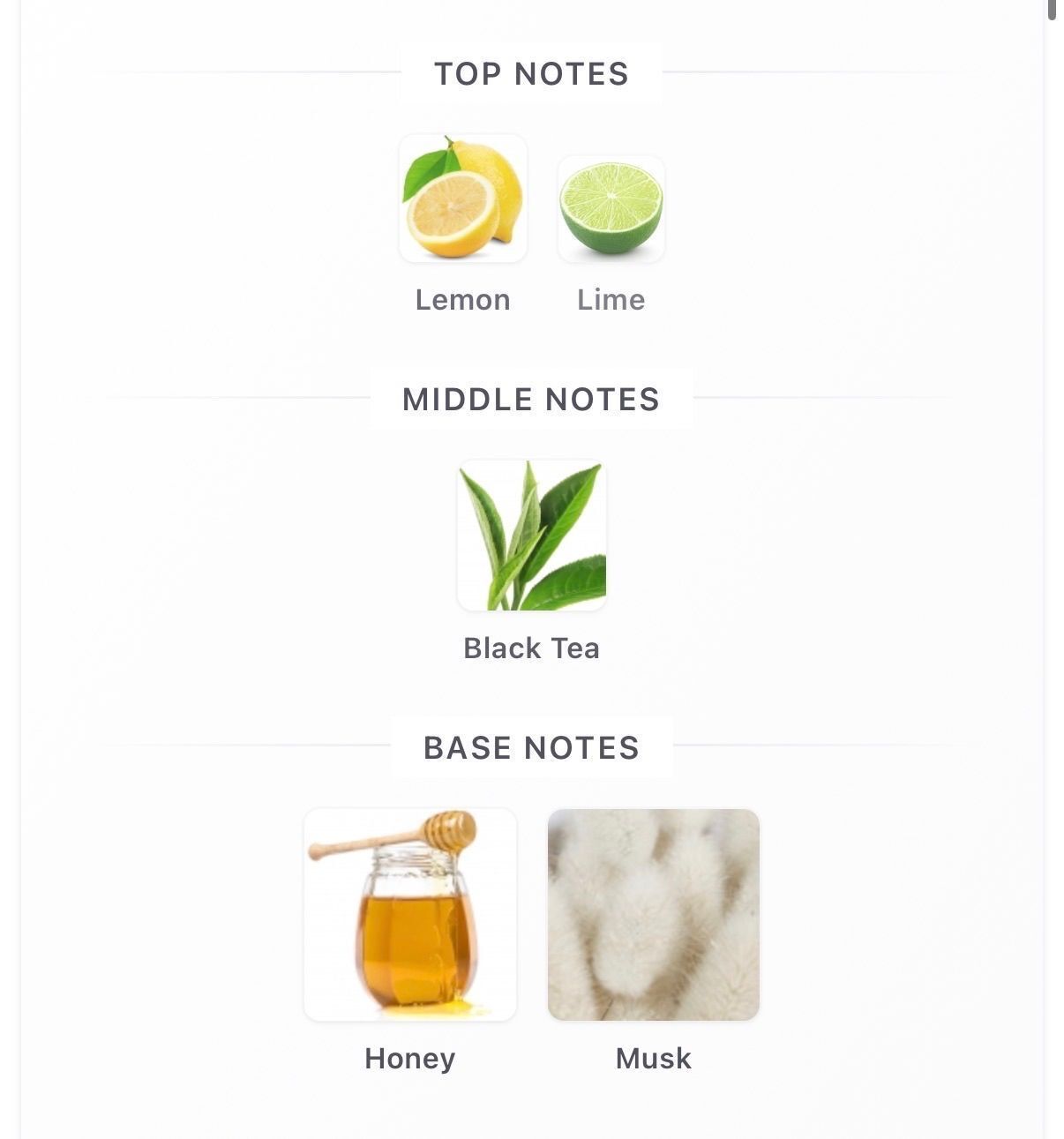 Lemon Ice Tea 10ml
