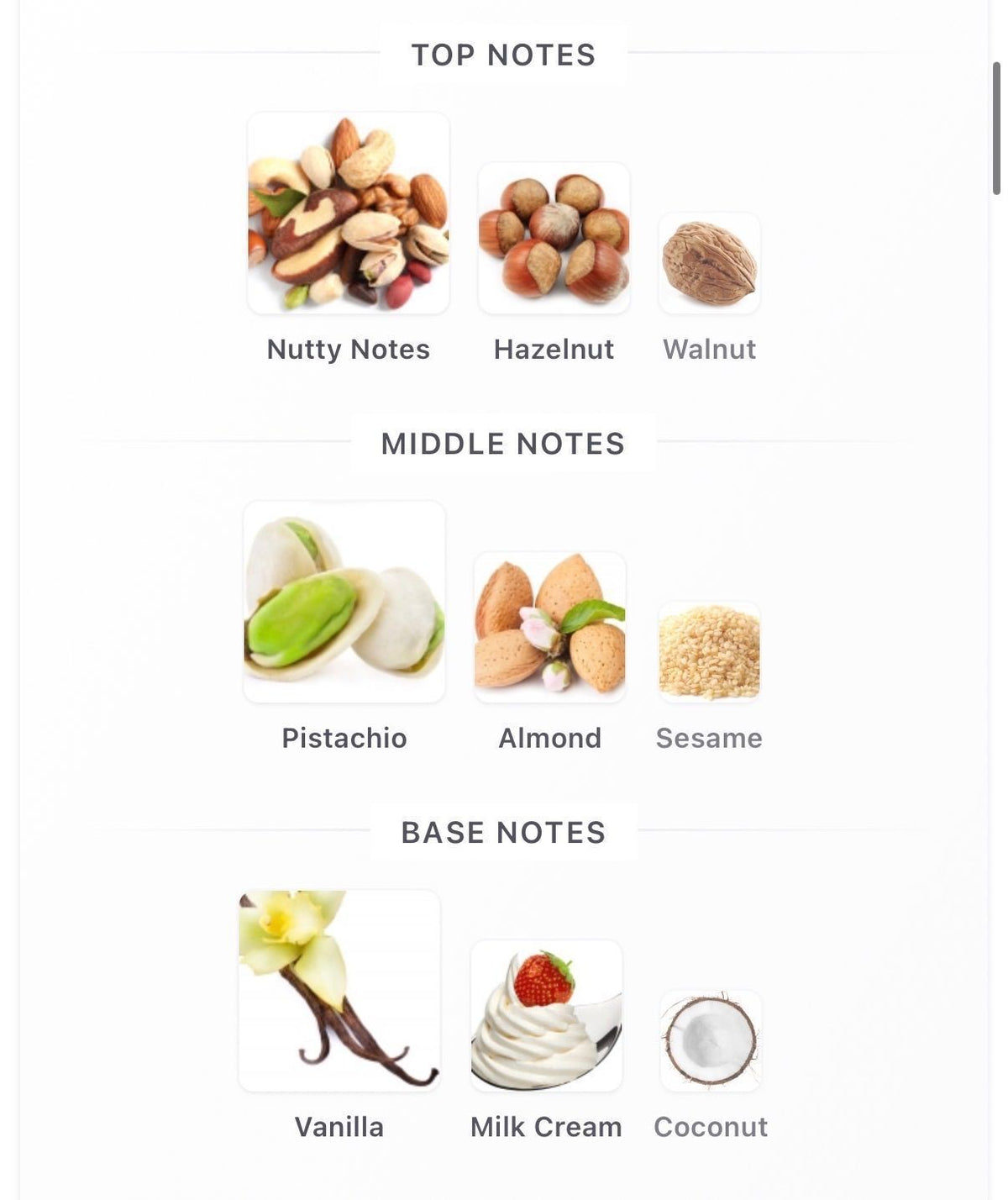 Why Nut 10ml