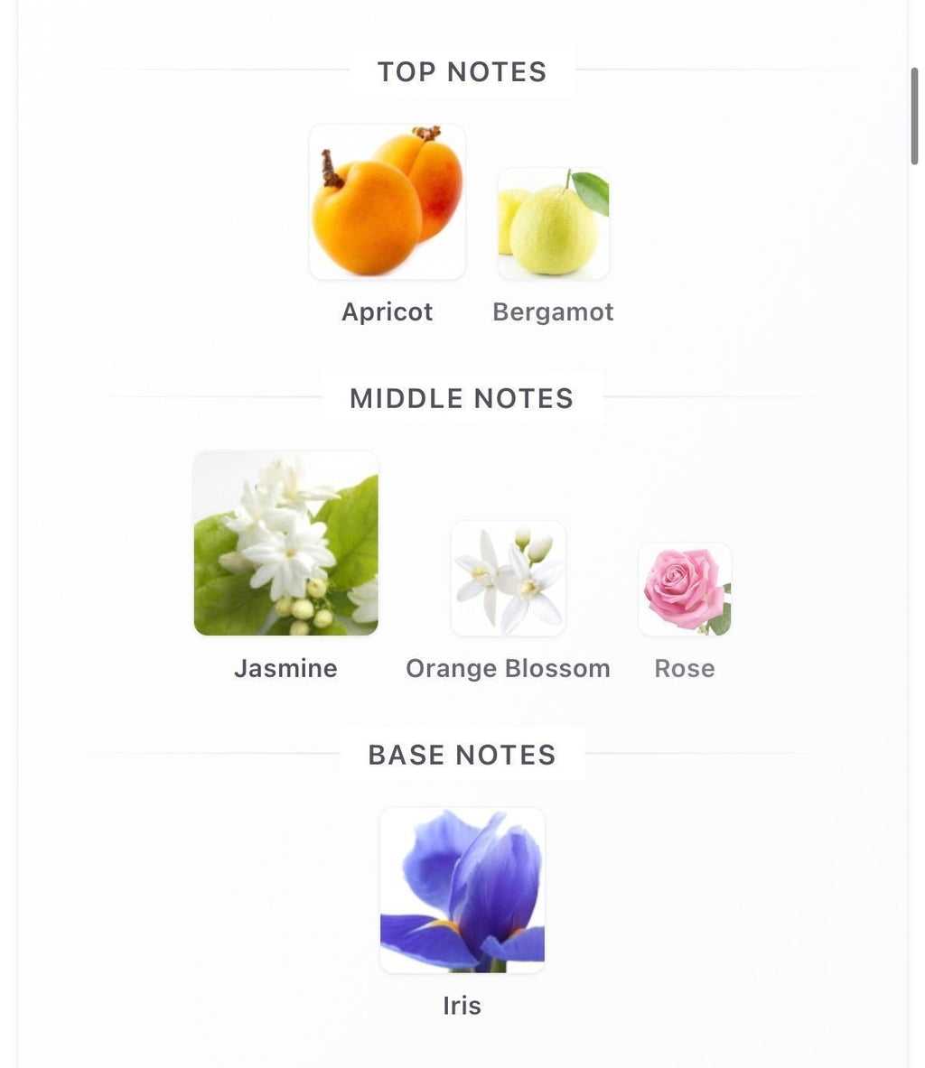 Jasmin Bonheur 10ml