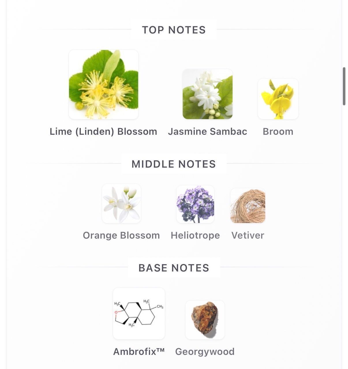Tilia 10ml