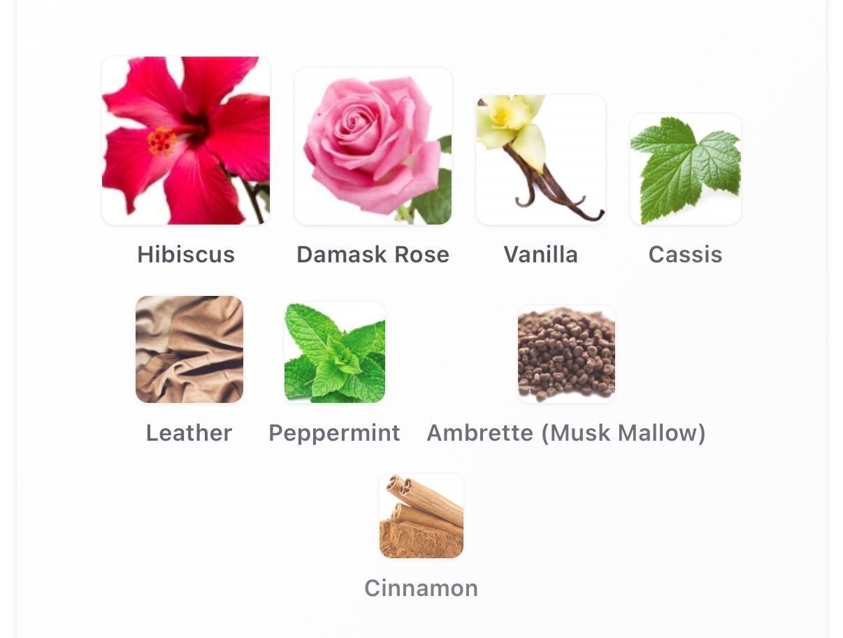Hibiscus Mahajad 10ml