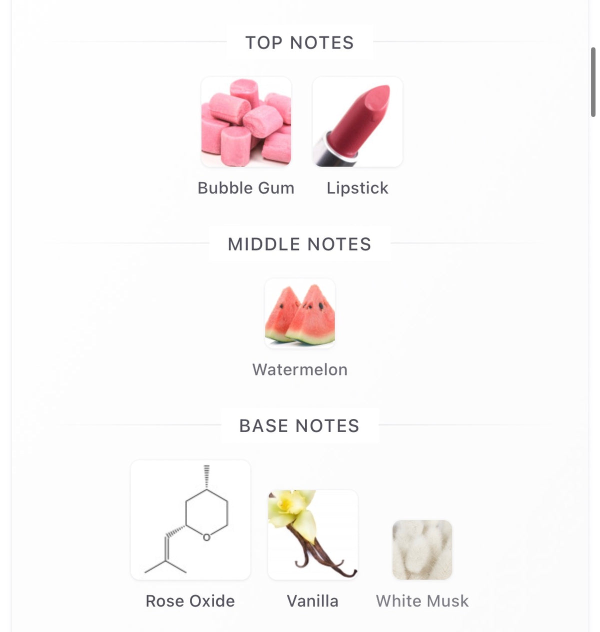 Le’Orchestre Parfum Heavy Bubblegum Perfume Decant – 5ml