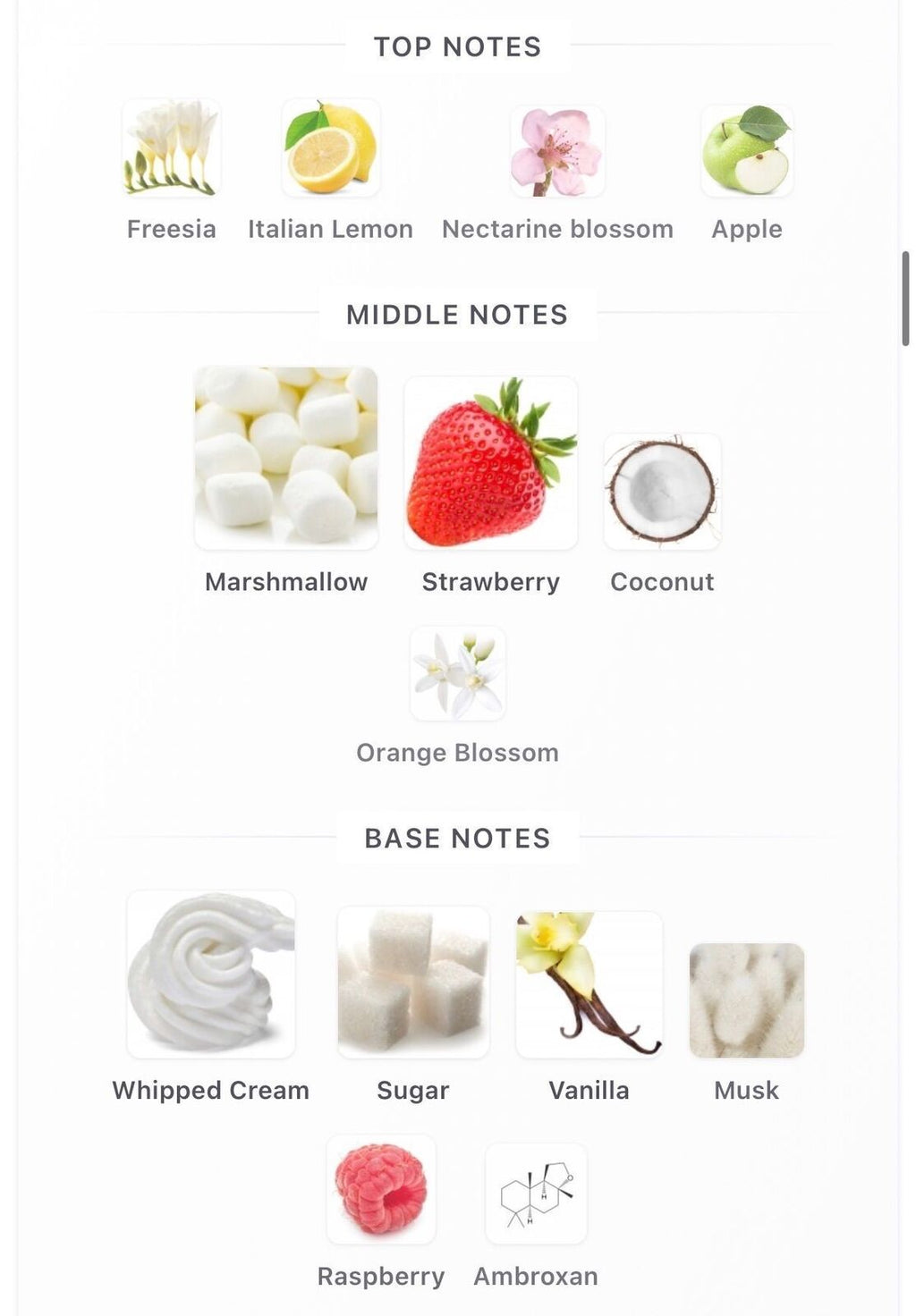 Yum Boujee Marshmallow | 81 10ml