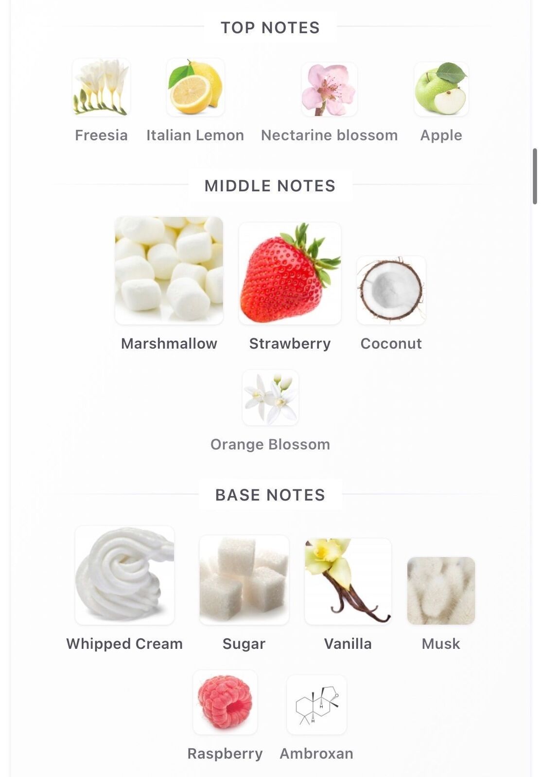Yum Boujee Marshmallow | 81 10ml