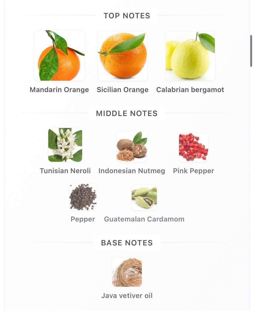Météore 10ml