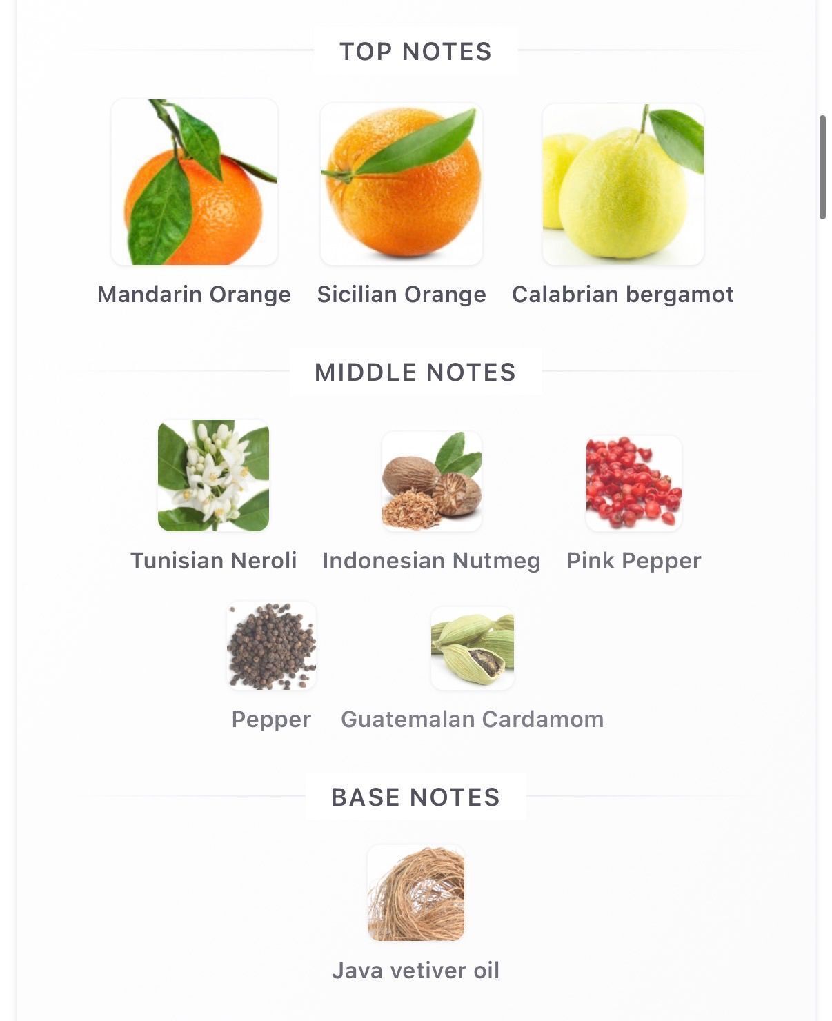 Météore 10ml