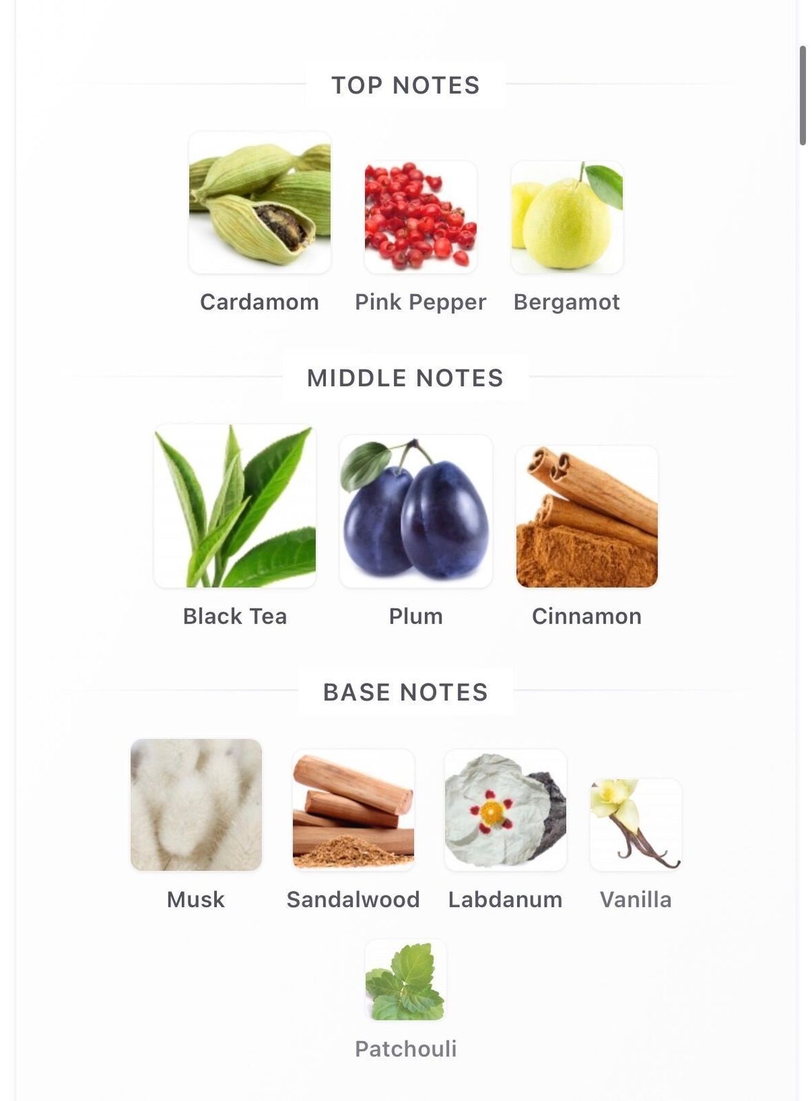 Black Tea 10ml