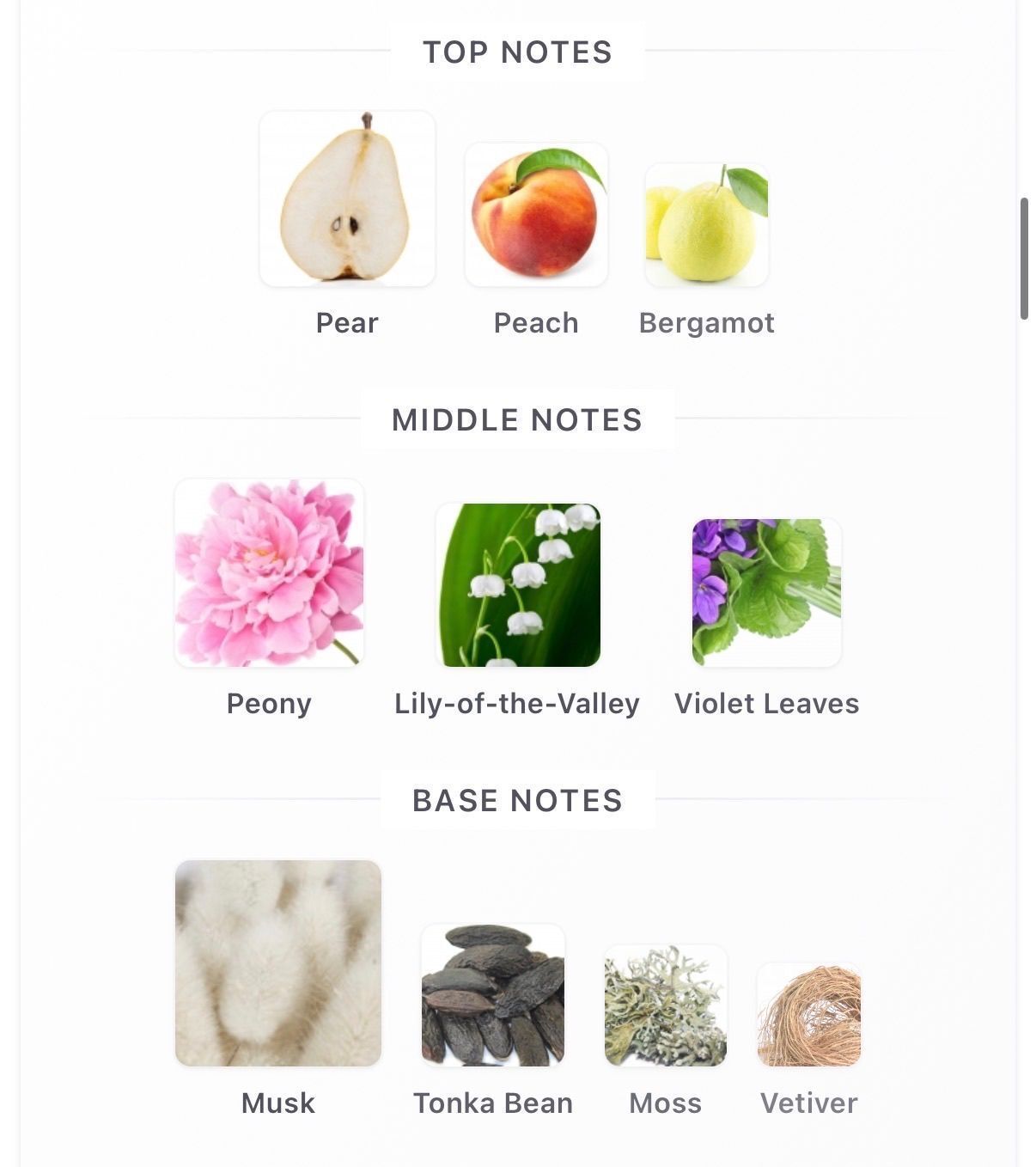 Nude 10ml