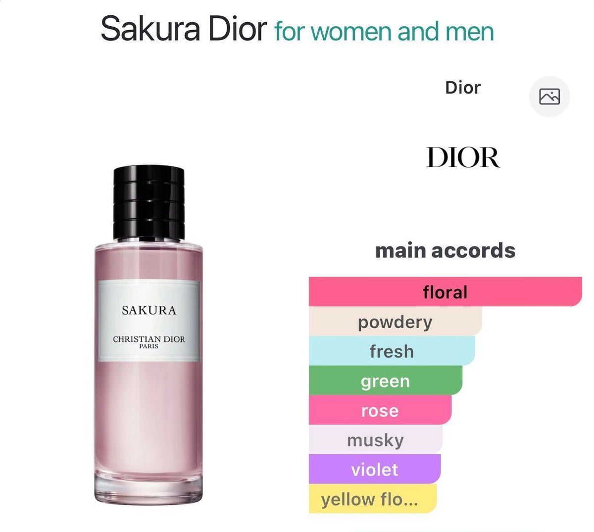 Sakura 10ml