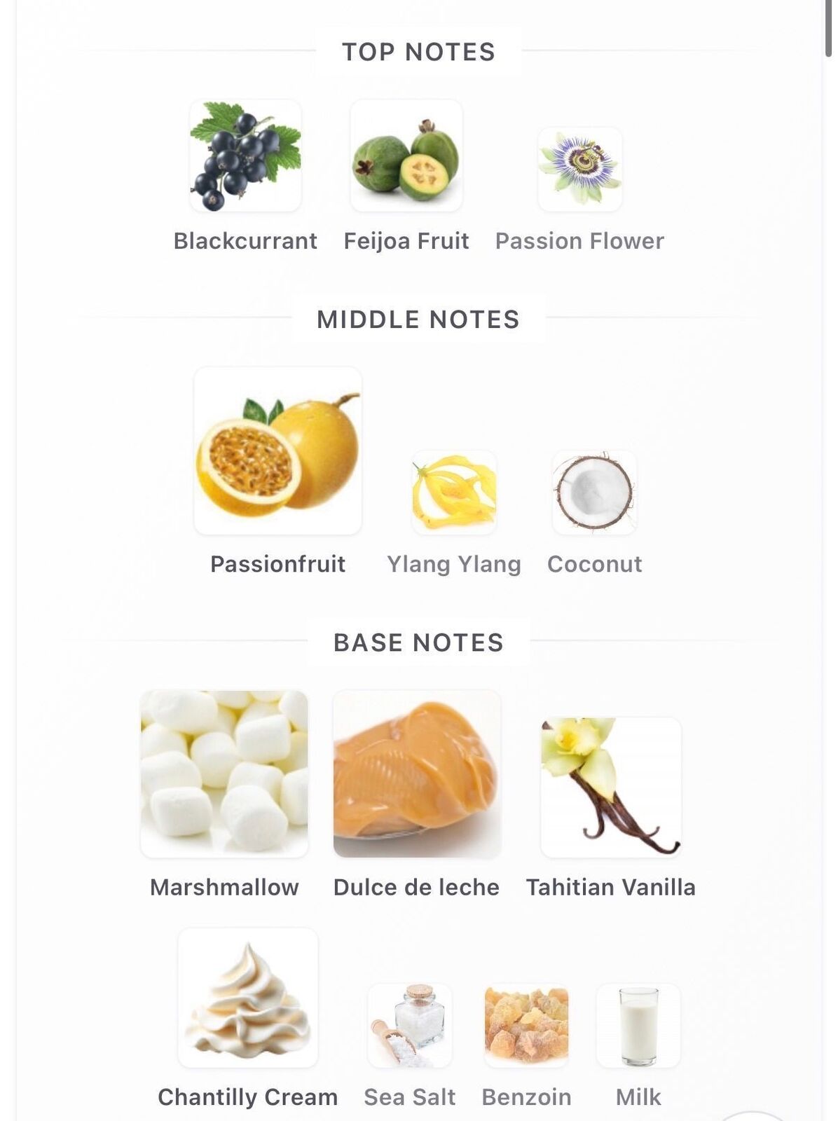 Marshmallow Maracujá 10ml