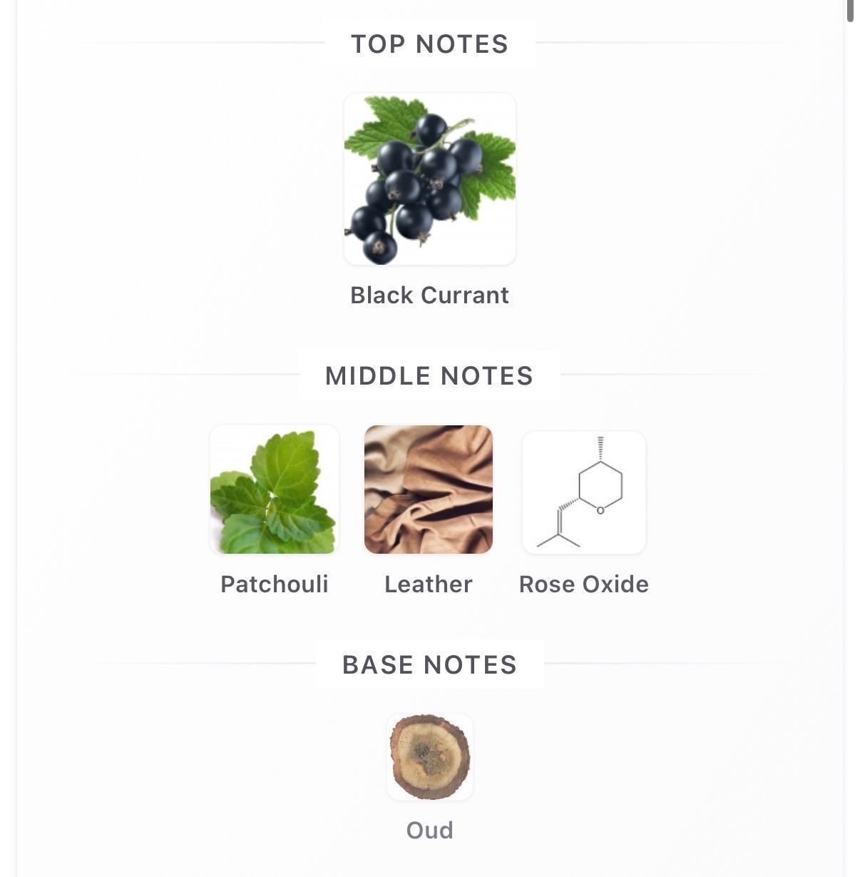 Black Currant Extrait 10ml