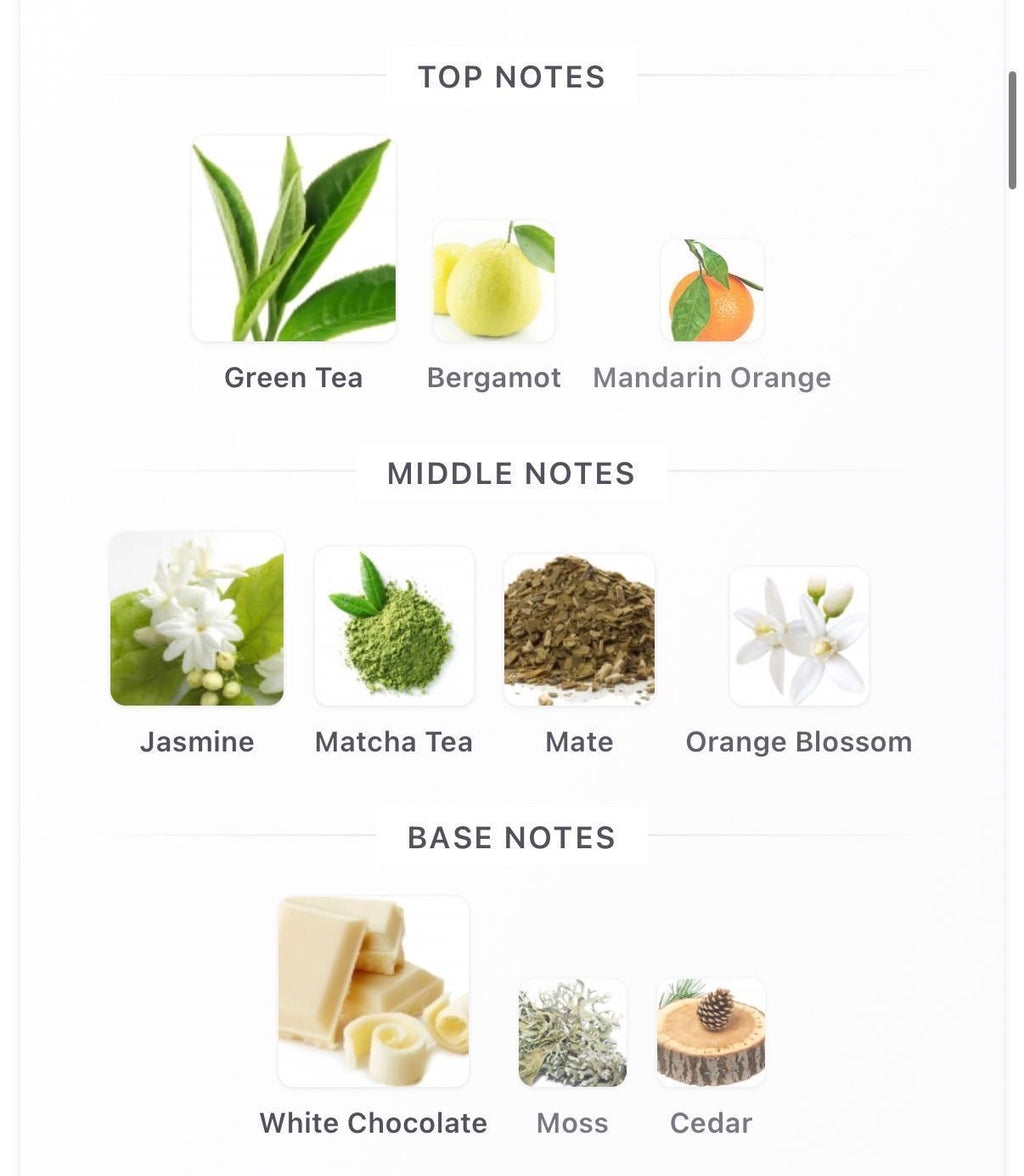 Matcha Meditation 10ml