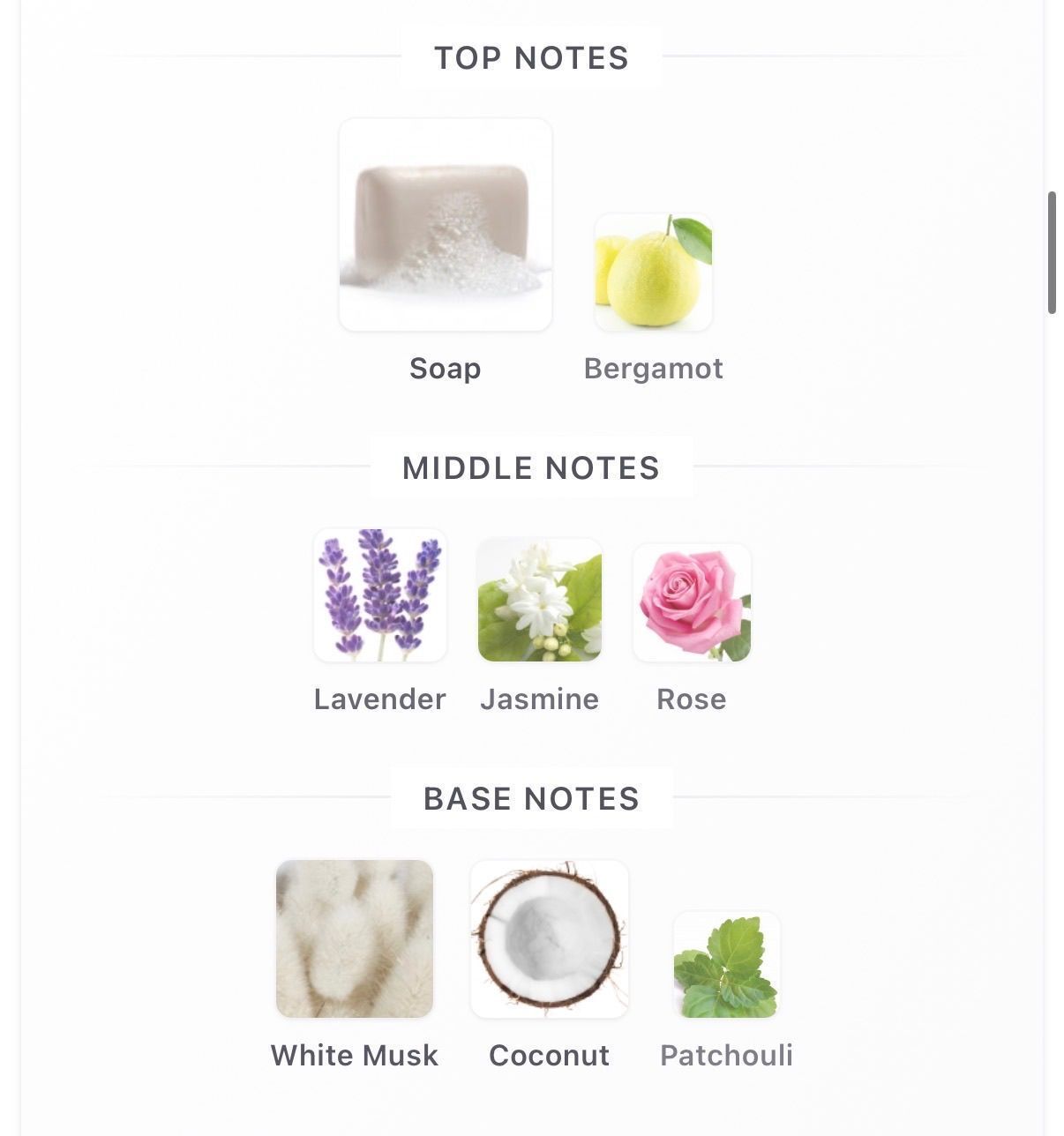 Bubble Bath 10ml